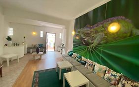 Iguana Guesthouse